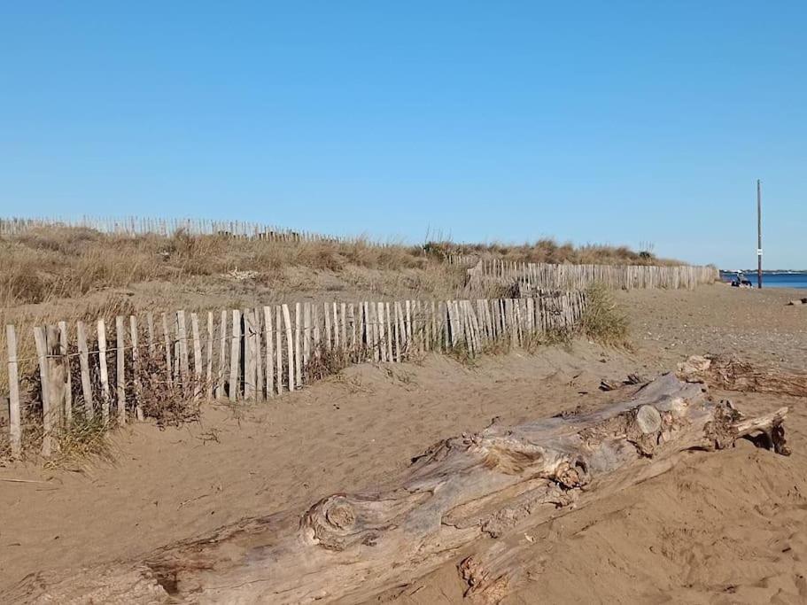 Studio Au Cap D'Agde Dans Les Pinedes Экстерьер фото