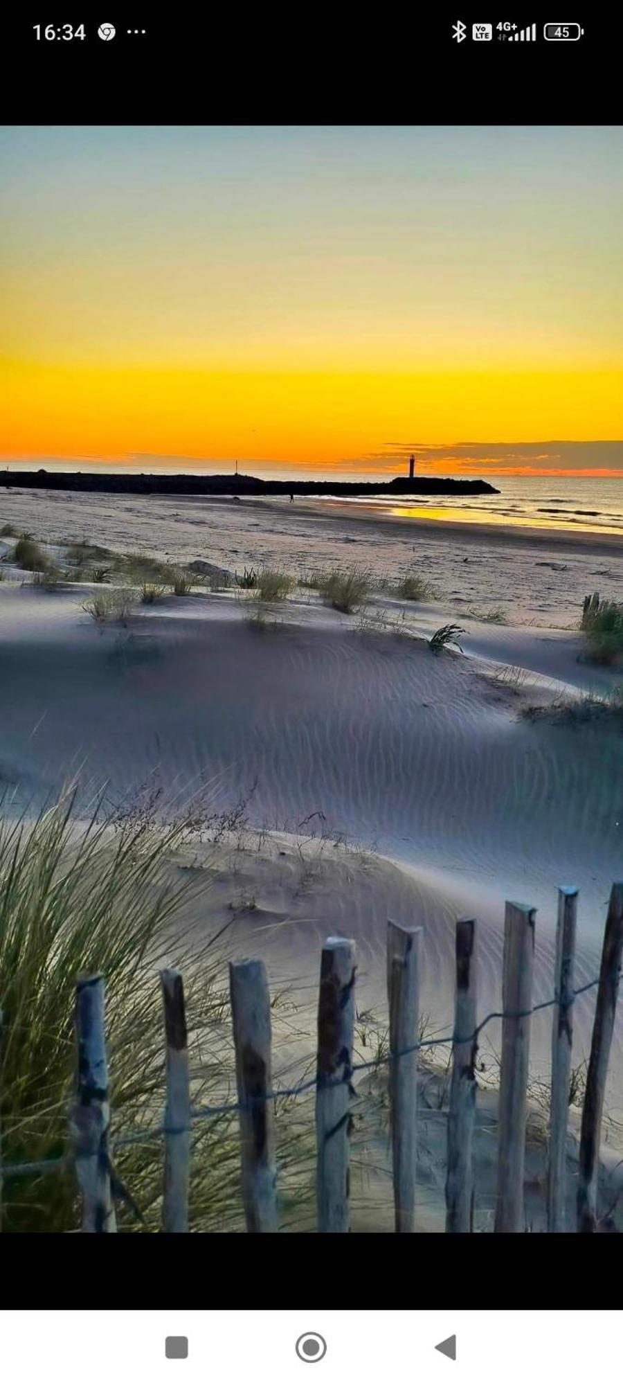 Studio Au Cap D'Agde Dans Les Pinedes Экстерьер фото